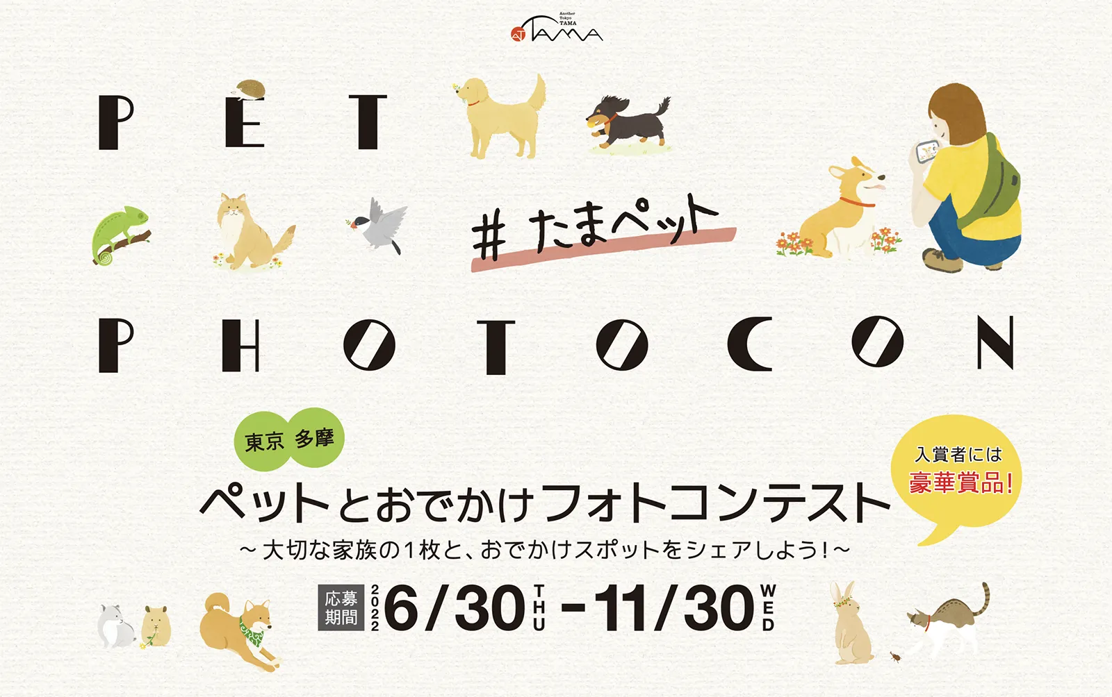 フォトコンイメージ