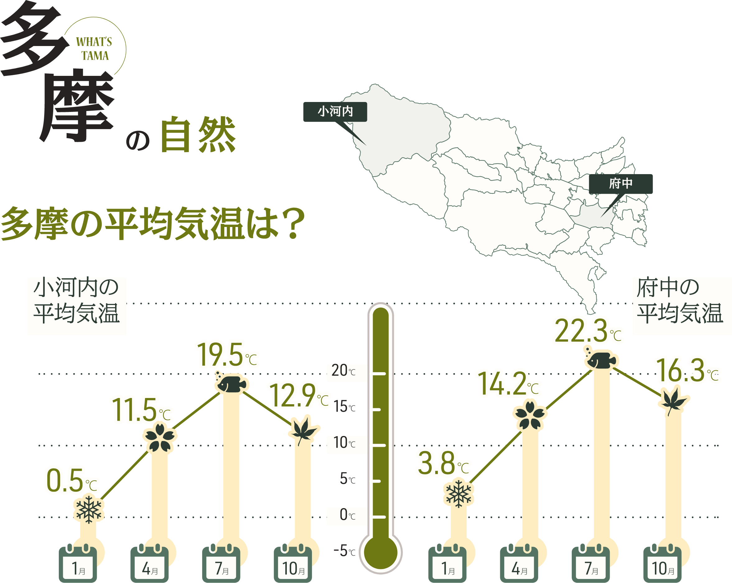 多摩の自然
